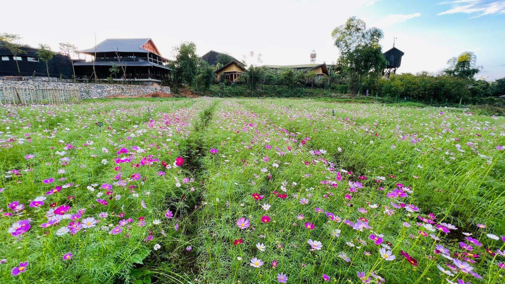Luong Son  Satoyama Village מראה חיצוני תמונה